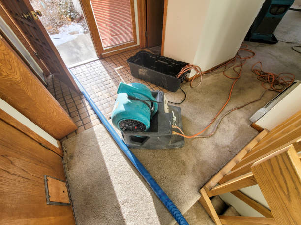 Best Water damage cleanup near me  in Mayflower Village, CA