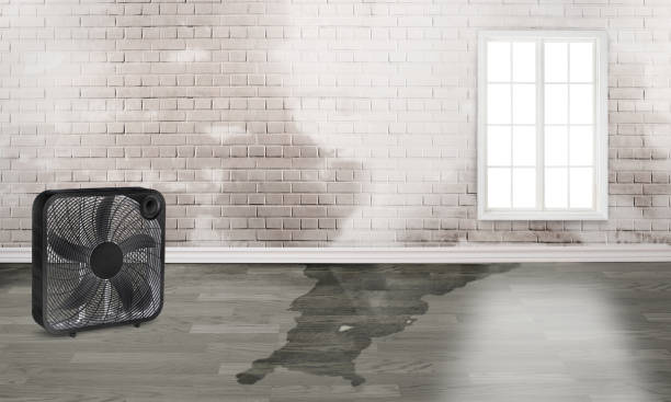 Best Commercial water damage restoration  in Mayflower Village, CA